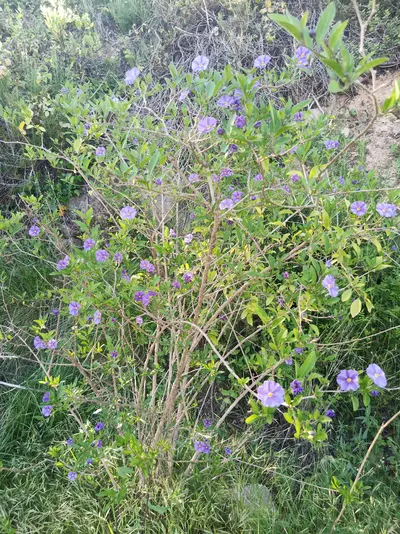 IMG_20200506_185043.webp