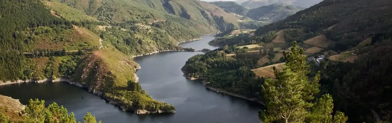 Embalse.webp