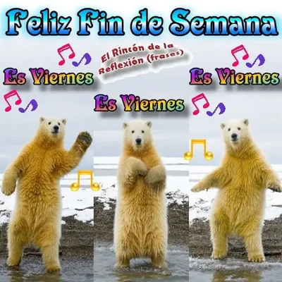 1590738347616.webp