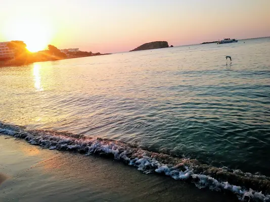 03000975.webp
