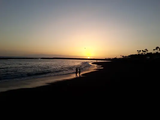 20200720_205856.webp