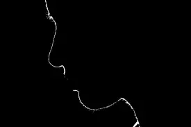 1597775368577.webp