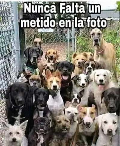 116799216_1551059735073311_156762591250639682_n.webp