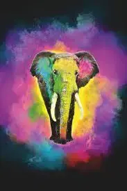 elefant farbexplo.webp