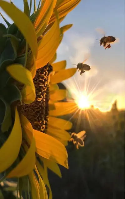 Image about photography in Interesting Images by Sherilynn.jpeg.webp