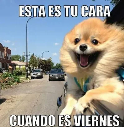 1612522501778.webp