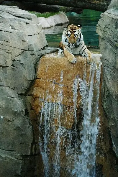 ohohocean.jpeg.webp