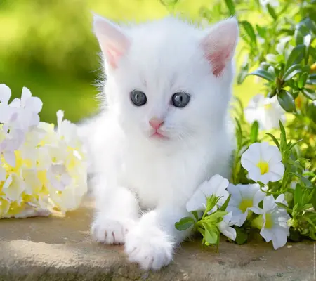 1614435660512.webp