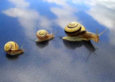 Familia_de_caracoles_by_jacekm.webp