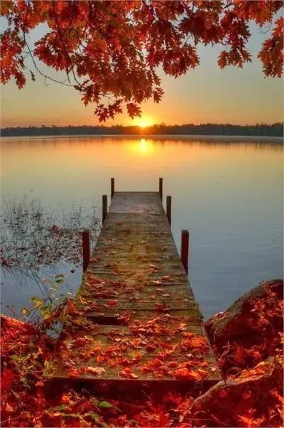 474ea1fce99a97e7bc5e6eaf8d49b76c.webp