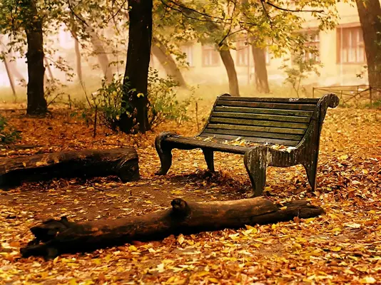 OTOÑO+BANCO+VACÍO.webp