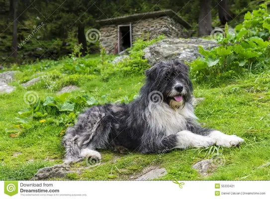 IMG_20210725_102618_519.webp