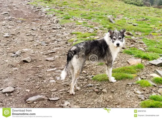 IMG_20210725_102511_779.webp