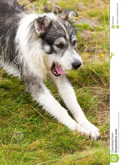IMG_20210725_102446_779.webp