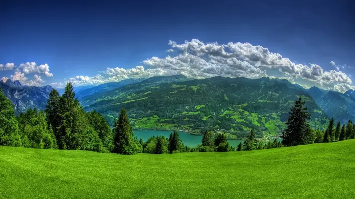 1628629357591.webp