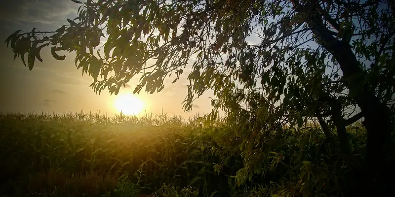 20210816_201753_HDR~2.webp