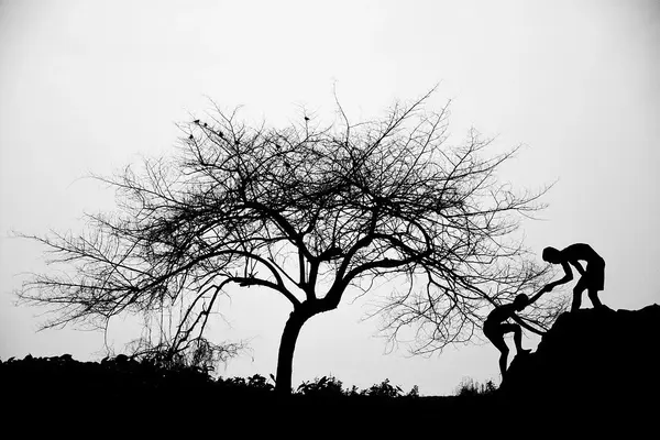 friendship-3585589_960_720.webp