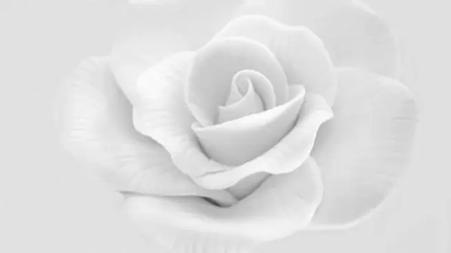 significado-del-color-blanco-655x368.webp