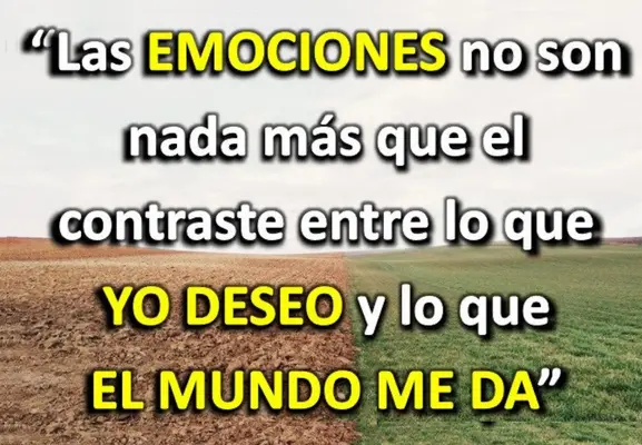 emociones.webp