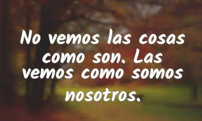 Ver_las_cosas.webp
