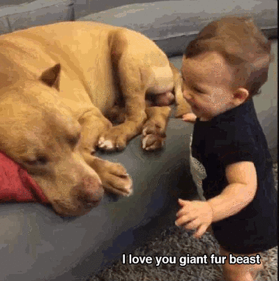 b907665adabd71c345971bf1f126c9dd.gif