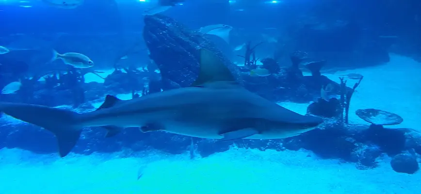 20210807_130953.webp