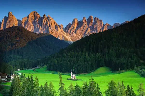1645324865466.webp