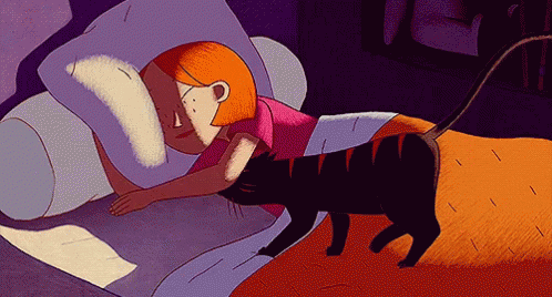 gatos-buenasnoches.gif