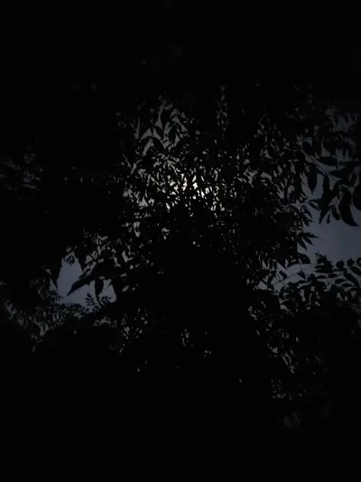 306859795_3225951127720791_6646709074811798039_n.jpg 306859795_3225951127720791_6646709074811798039_n.jpg