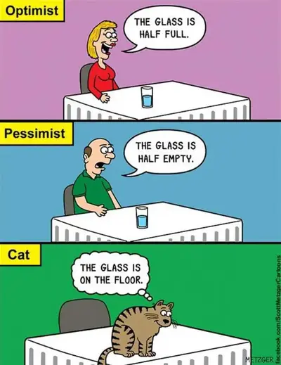 FB_IMG_1676022706663.webp