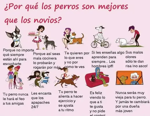 FB_IMG_1677072934167.webp