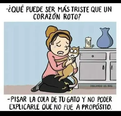 1680187669501.webp