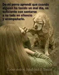 1689548838206.webp