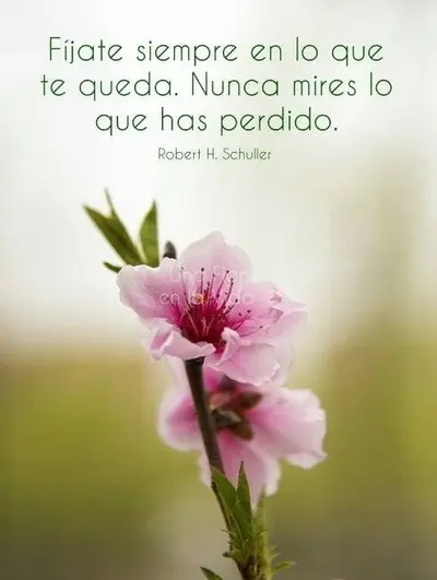 b95c732fb633e9e746998dff82bd05a1.webp