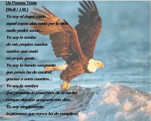 Un Poema triste.webp
