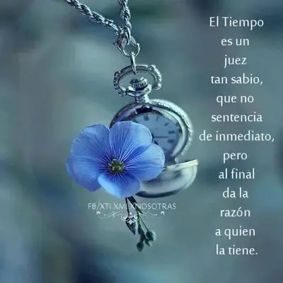 frases_027.webp