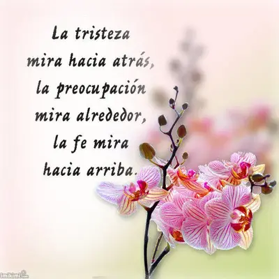 frases_074.webp
