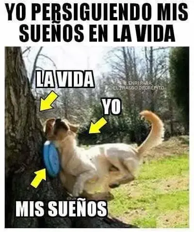 1694135914835.webp