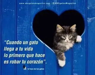 IMG_1448238926270.webp