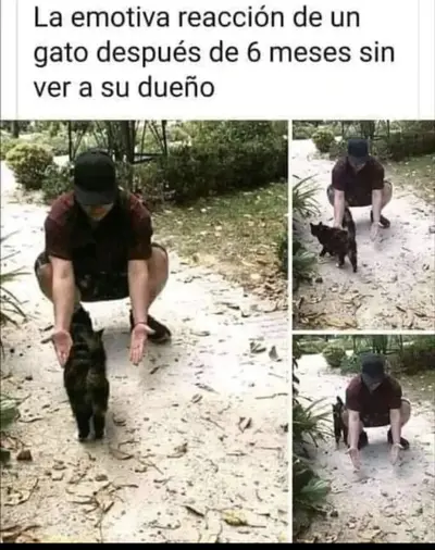 1697228512113.webp