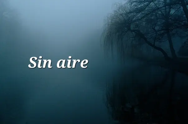 1000009490.webp