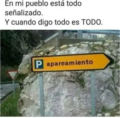 1000073881.webp