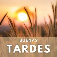 1715278682140.webp
