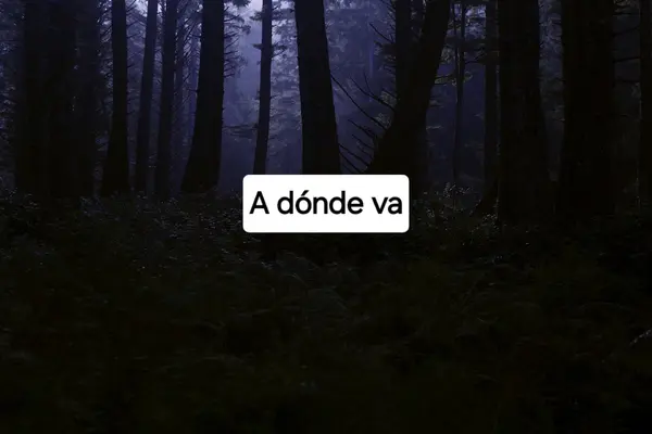 1000007012.webp 1000007012.webp