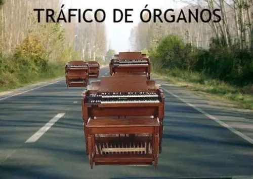72abbf871d01dde5028532226b6d718f.webp