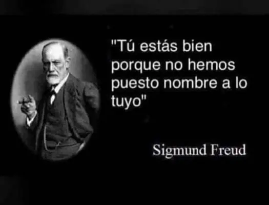 c15486fc2fed2323602343e7c3a20ddd.webp
