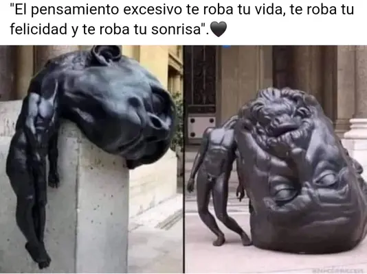 1000086552.webp