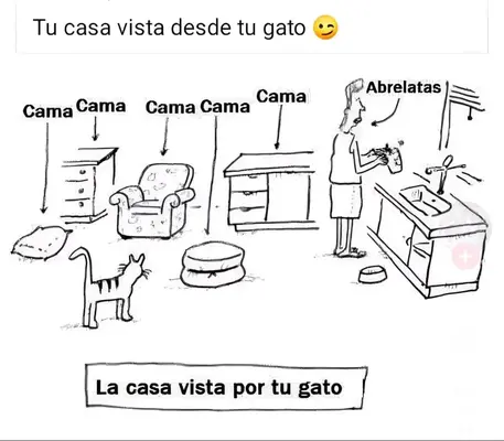 1725381579497.webp