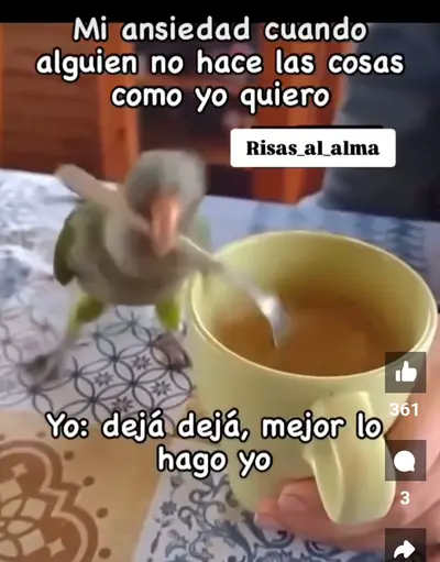 1000086797.webp