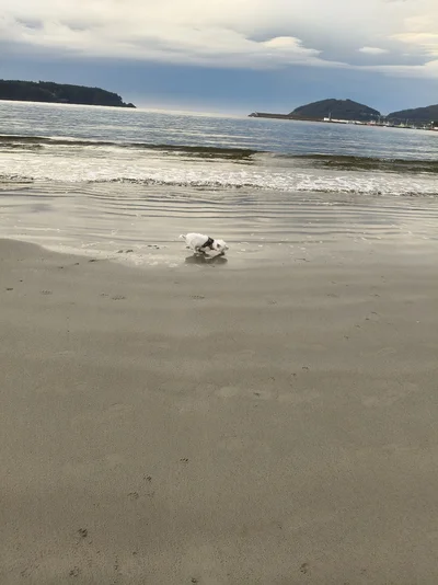1000020833.webp
